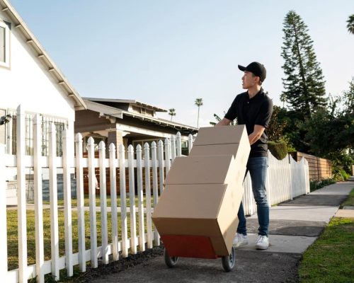 delivery-person-getting-parcel-out-delivery_23-2149371947