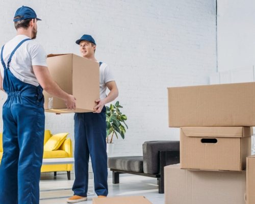 two-movers-in-uniform-transporting-cardboard-box-in-living-room-e1705412220635.jpg